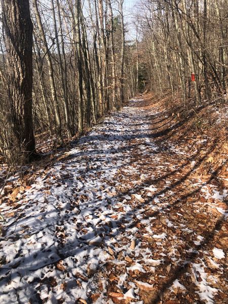 Bouchoux Trail