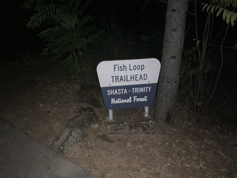 Trailhead at Packers Bay boat ramp parking lot.