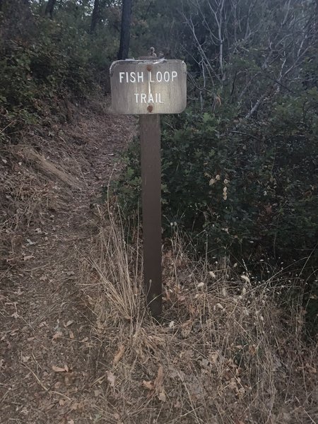 Trailhead at intersection with Waters Gulch Trail.