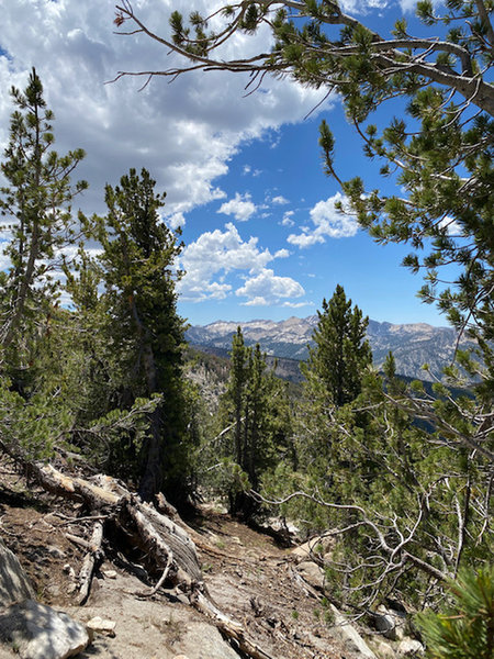 Looking west from the crest.