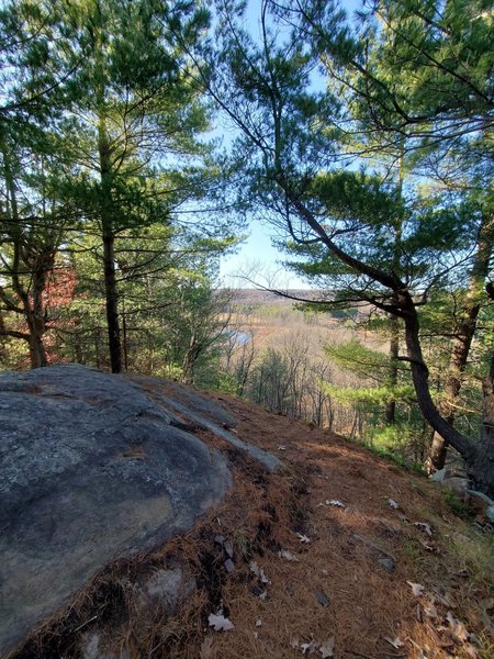 Lookout point facing west.