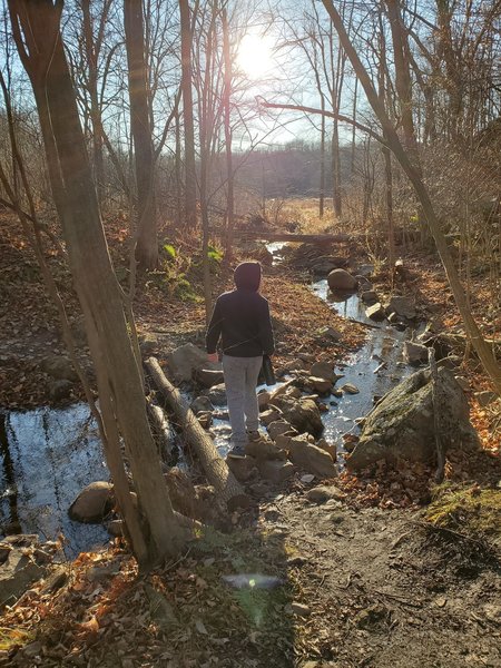 Boy crossing a small creek.