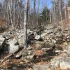 The brook continues just past the waterfall on the Precipice Path.