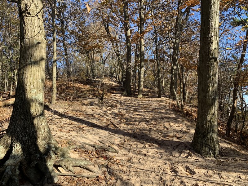 Looking towards Mount Baldhead.