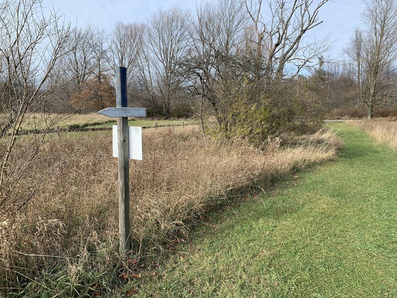 Arrow marker on the wide path.