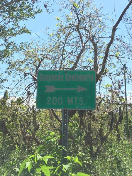 Sign to the Guayacán Centenario side-trail