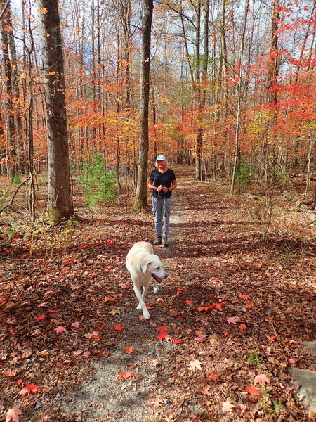 Well maintained trails with beautiful fall colors.