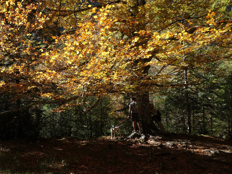 Young couple and their dog on Senda a la Cala de Caballo