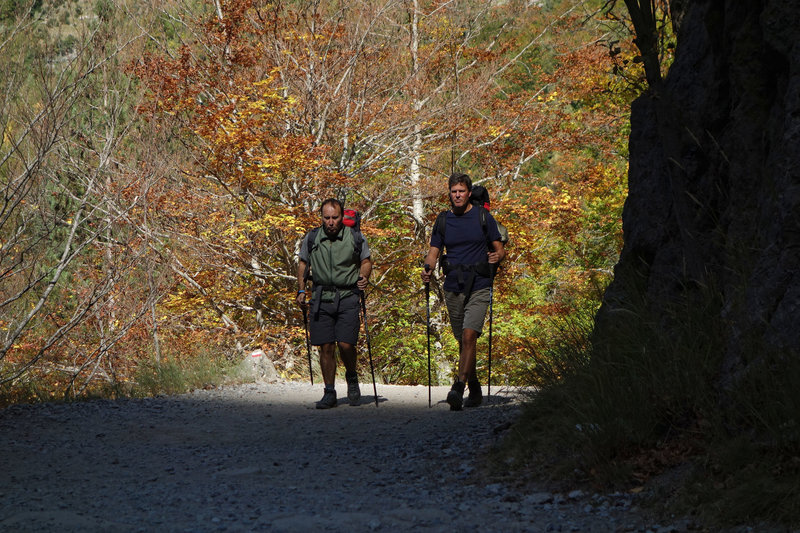 Two determined hikers