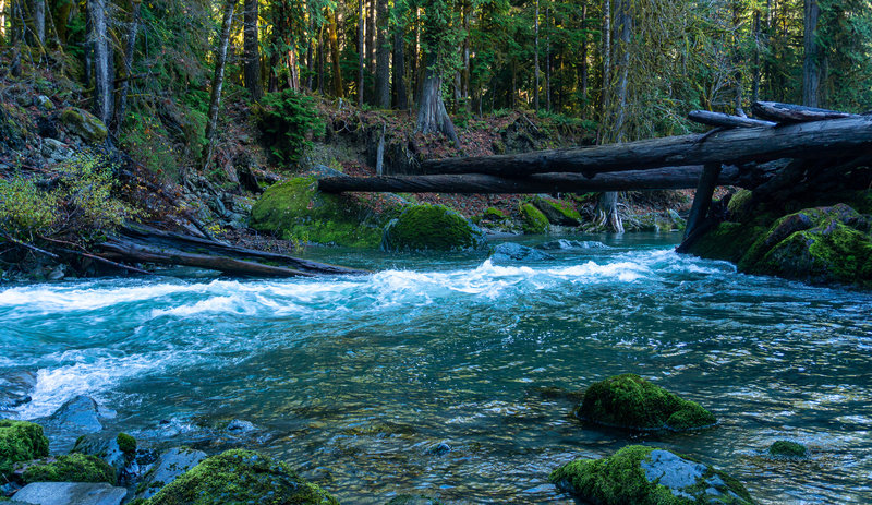 The Skokomish River near Staircase