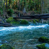 The Skokomish River near Staircase