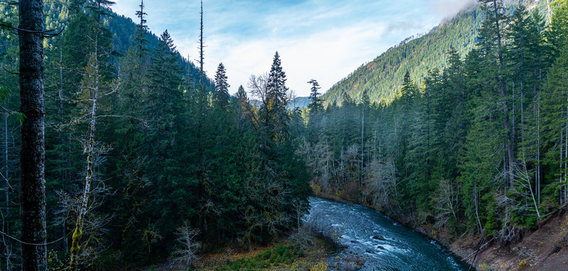 View over the Skokomish River.