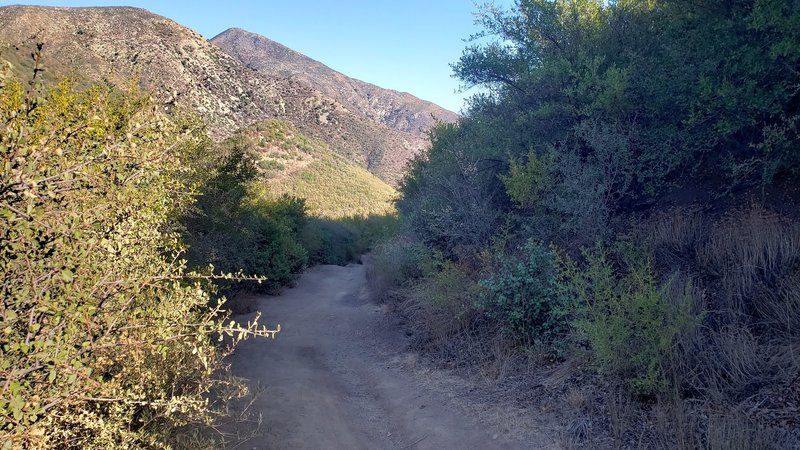 Top of the trail at Gibraltar