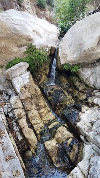 Water still flowing  from the West Fork Cold Springs Creek in November.