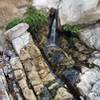 Water still flowing  from the West Fork Cold Springs Creek in November.