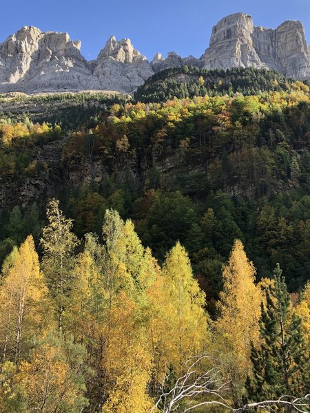 Autumn in Ordesa NP in the direction of the Sierra dera Cárquera o As Cutas