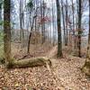 A nice tree bench along the trail.