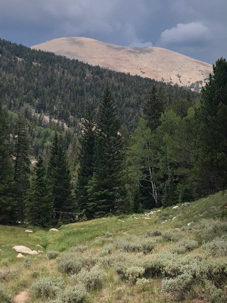 View north from South Fork Baker Creek Trail.