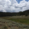 Meadow and sage near Timber Creek, under a moody sky.