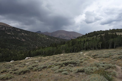 Jeff Davis peak under storm clouds viewed from the high sage field at the top of Pole Canyon.
