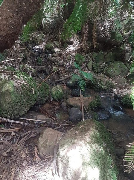 Creek pitstop outside Eagle's Nest picnic ground.