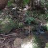 Creek pitstop outside Eagle's Nest picnic ground.