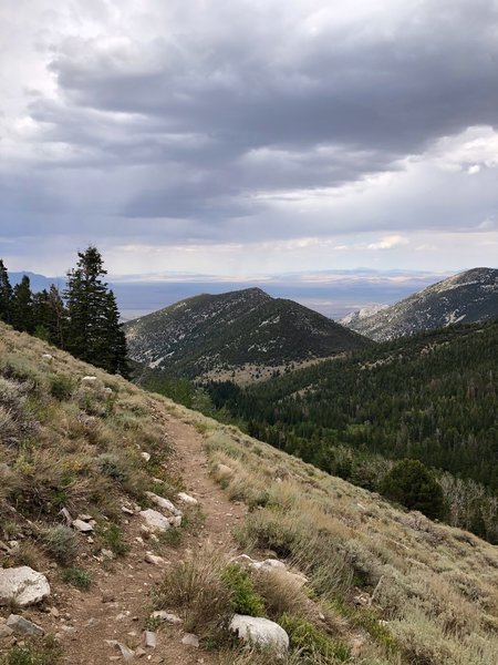 View northeast while descending Pole Canyon at Great Basin NP.
