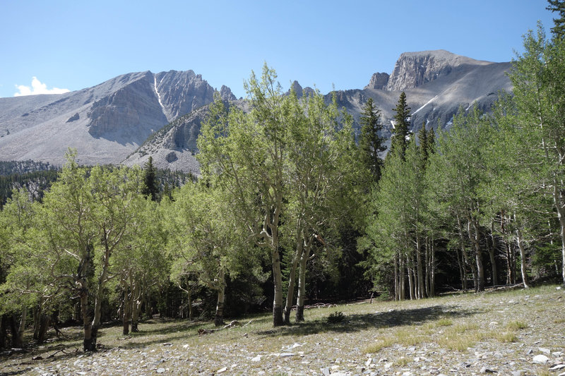 Jeff Davis Peak (left) and Wheeler Peak (right) viewed from the Alipine Lakes Loop at Great Basin NP.