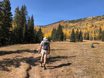 Hiking through the alpine meadow of the Gavilan Trail