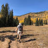 Hiking through the alpine meadow of the Gavilan Trail