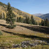 Alpine meadow stream near the top of the Gavilan Trail.