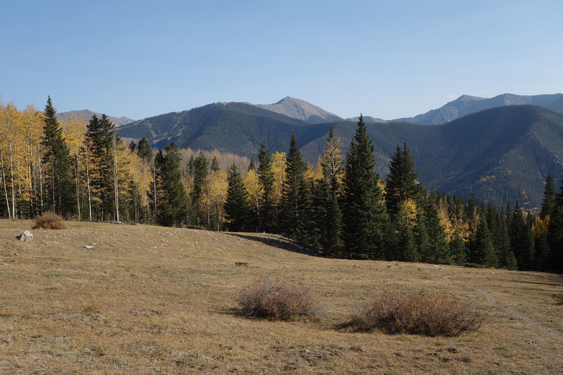 Evergreens and autumn aspens enclose an alpine meadow near the top of the Gavilan Trail.