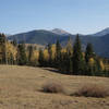 Evergreens and autumn aspens enclose an alpine meadow near the top of the Gavilan Trail.