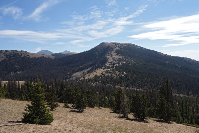 Mt Peck viewed from Monarch Ridge