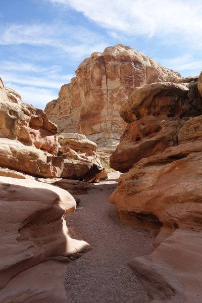 Perfect autumn afternoon in Little Wild Horse Canyon.