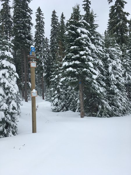 Marker G at intersection of Hoot & Holler Trail with Tamarack Trail