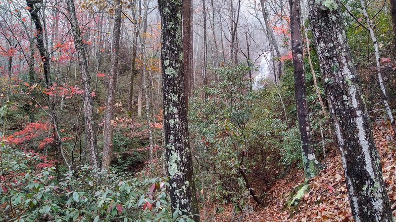 Distant view of waterfall on Rocky Branch when approaching from the east.