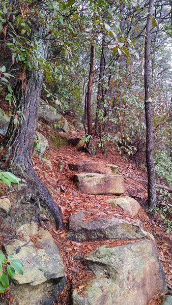 Step-like rock features commonly found on this trail.