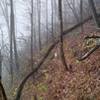 Hiking along the ridge of Hospital Rock Trail.