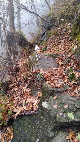 Descending rock features commonly found on this trail.