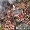 Descending rock features commonly found on this trail.