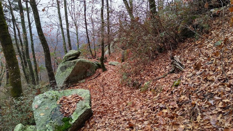 Some of the boulders commonly found on this trail.