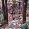 View of the trail as it descends into Jones Gap State Park.