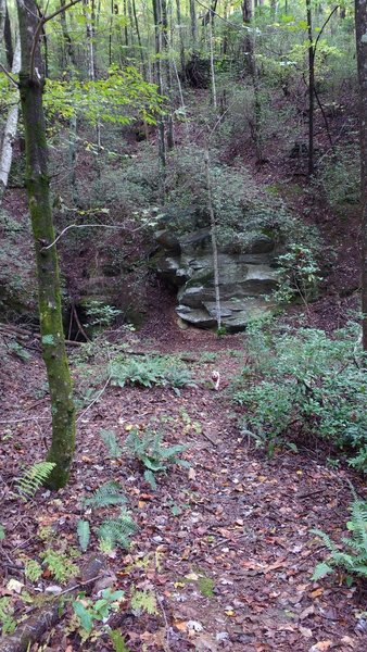 Hiking along the western end of the trail.