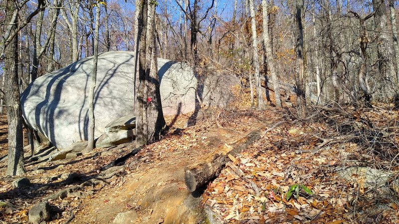 One of the many boulders visible in the fall/winter along the trail.