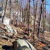 Boulders strewn about the forest along the trail.