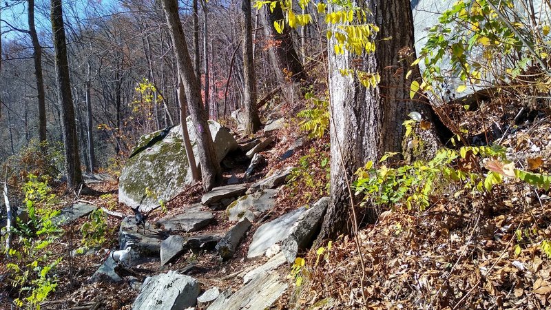 Trail through rock along Mill Creek Falls spur trail.