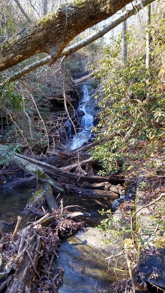Upper Mill Creek Falls.