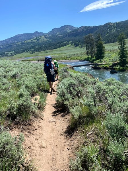 Trailhead. Be sure to start in the right spot. There is another starting point for stock. If you start here, there is a bridge to cross the Soda Butte Creek.