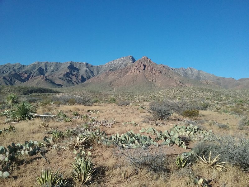 View of  Franklin Mountains from the trail.